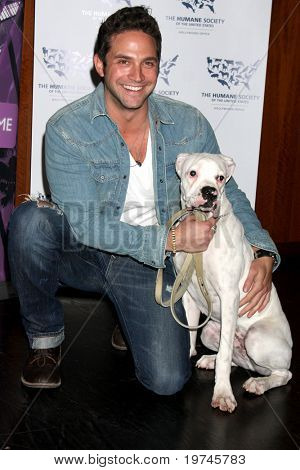 LOS ANGELES - 10 nov: Brandon Barash มาถึงที่หมาย 