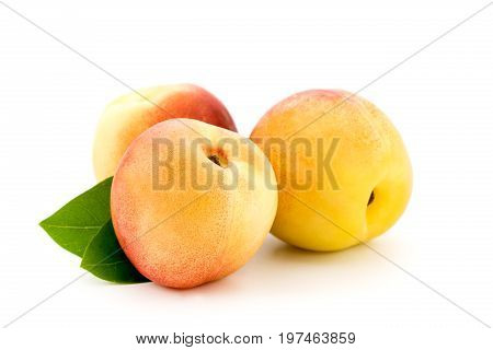 Apricots On A White Background.