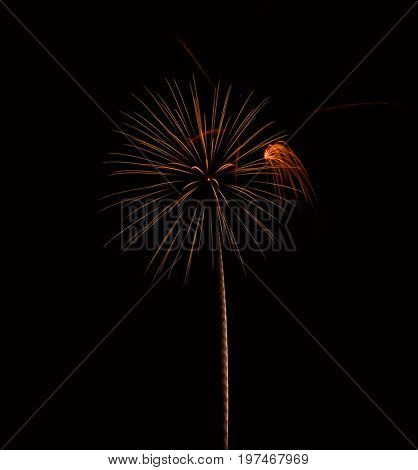 Bursting in Air- Fourth of July Celebration