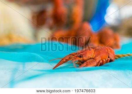 Banquet, wedding table, meal at the wedding, reception, table decor, decor of food
