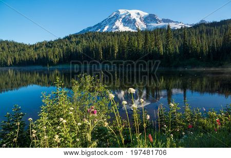 Summer morning on Mt. Rainier Reflection lake