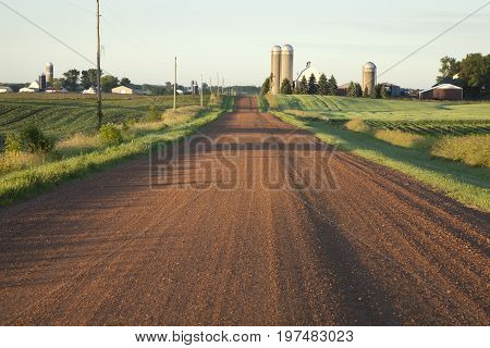 Rural Minnesota dirt road with farms in morning light