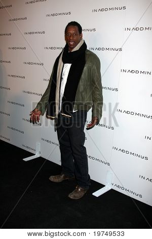 LOS ANGELES - NOV 18:  Orlando Jones arrives at the 