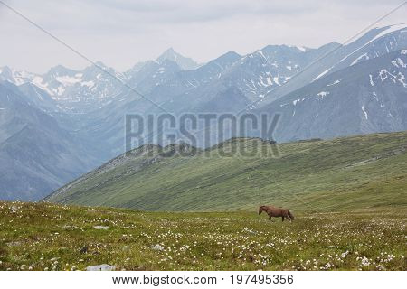 Path Descent From The Pass Kara-turek, Mountain Altai, Russia