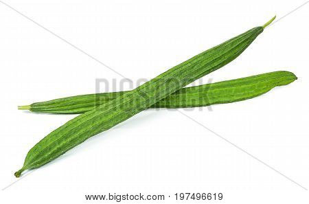 Luffa Acutangula Isolated On White Background