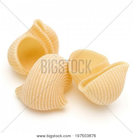 Italian lumaconi isolated on white background. Lumache, snailshell shaped pasta.