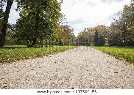 The line in the park in fall with yellow leaves