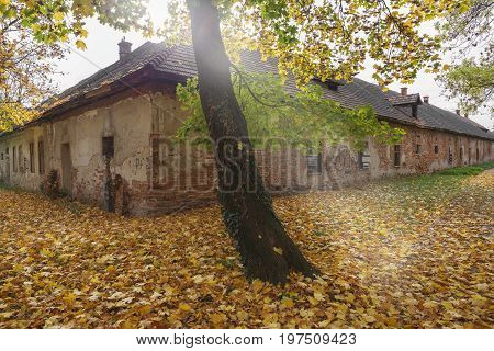 Old house in the park in fall with yellow foliage