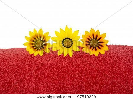 Partial View Of Red Towel Rolled Up With 3 Gazanias