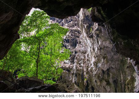 Vegetation And Nature In Phraya Nakhon Cave. Thailand