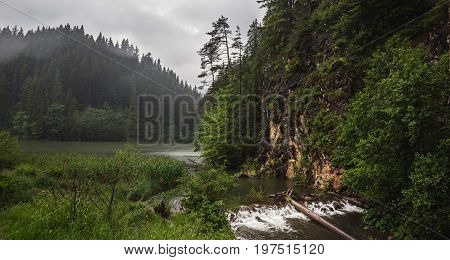 Mountain lake scenery Lacu Rosu or Red lake and bicaz river in cloudy rain weather Eastern Carpathians Romania nature landscape background.