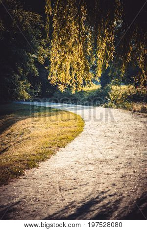 Road in the forest park in the spring and the sunlight. Natural background. Environment ecology