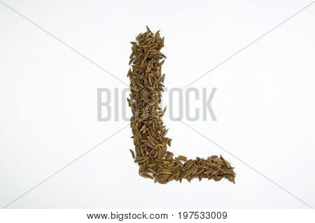 Written letters with carum carvi on white background