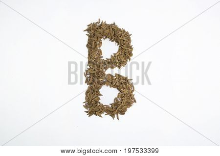 Written letters with carum carvi on white background