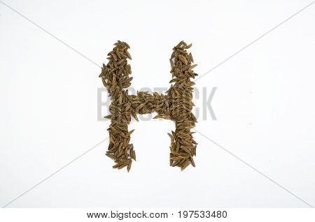 Written letters with carum carvi on white background