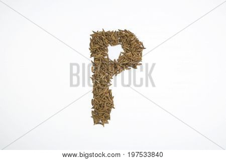 Written letters with carum carvi on white background