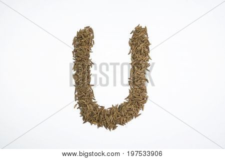 Written letters with carum carvi on white background