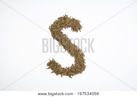 Written letters with carum carvi on white background