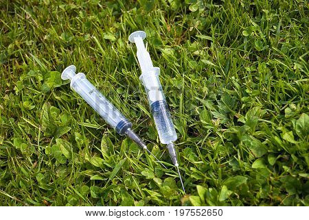 Used medical syringes found in the grass