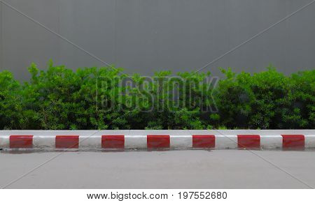 A little low shrub fence with gray color wall background and footpath front.