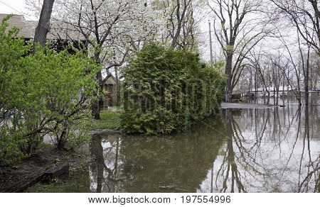 Close up landscape view of flood waters rising over a paved road in front of properties with trees foliage and the houses partly submerged in the distance in the West Island of Montreal, Quebec on a bright overcast day in May.