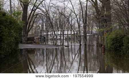 Close up landscape view of flood waters rising over a paved road in front of properties with trees foliage and the houses partly submerged in the distance in the West Island of Montreal, Quebec on a bright overcast day in May.