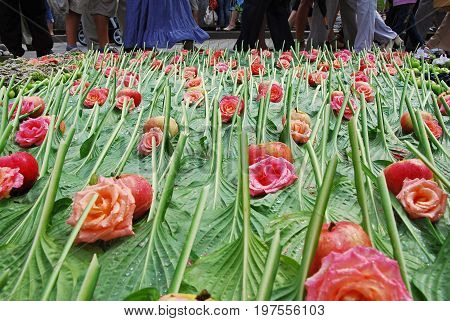 Decorative setting of flowers and plants - flowerbed