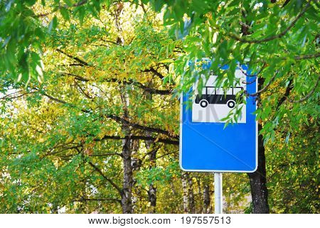 European Bus stop sign (with free space for text) surrounded by autumn leaves