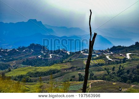 Landscape of mountain. Phu Tubberk Thailand .