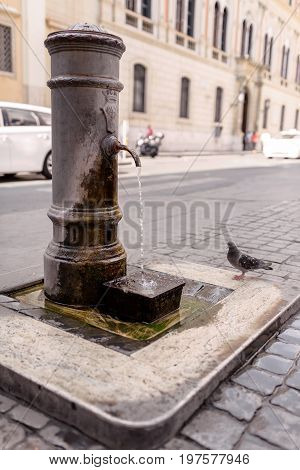 Classic Roman water fountains located in old city of Rome, Italy Nasone, Fontanella,