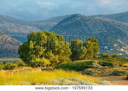 Beautiful Mountain Landscape Of Crete Near Malia, Greece