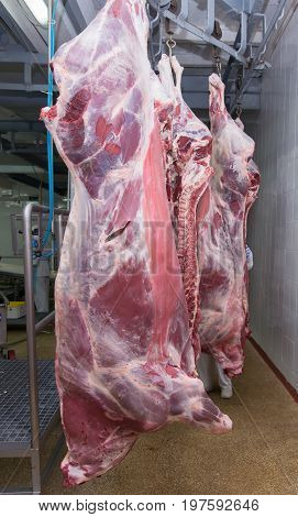 cutting meat slaughterhouse workers in a meat factory