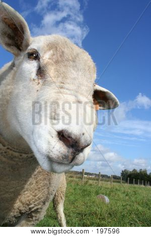 Lemmen