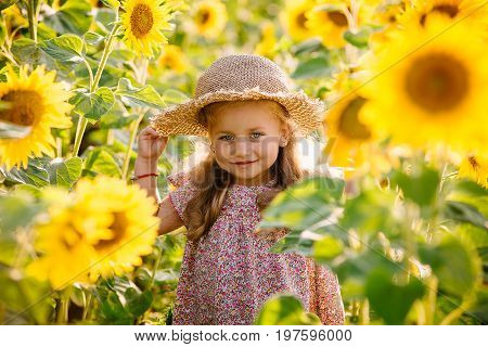 Happy little girl on the field of sunflowers in summer. beautiful little girl in sunflowers