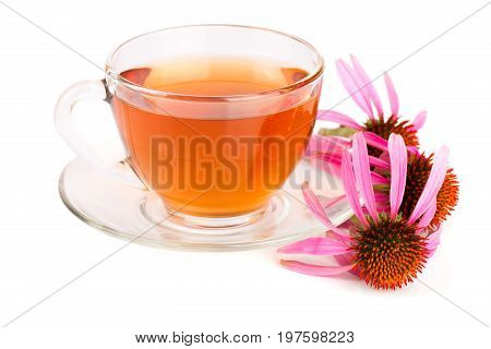 Echinacea tea isolated on white background. Medicinal tea.