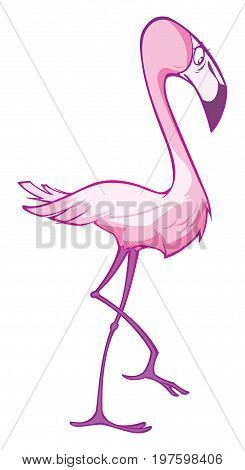 Flamingo.eps