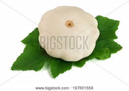 Patty pan Squash with leaf isolated on white background. Pattypan.