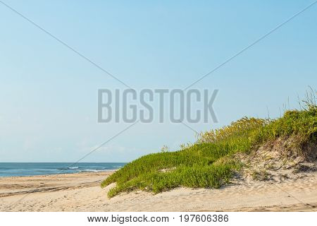 Beach grass covering a sand dune on Coquina Beach, located at Cape Hatteras National Seashore.