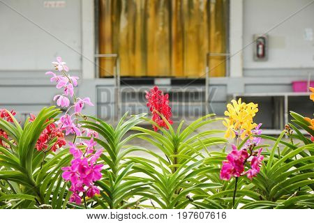 the seed-bearing part of a plant, consisting of reproductive organs (stamens and carpels) that are typically surrounded by a brightly colored corolla (petals) and a green calyx (sepals)