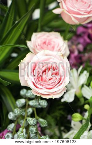 the seed-bearing part of a plant, consisting of reproductive organs (stamens and carpels) that are typically surrounded by a brightly colored corolla (petals) and a green calyx (sepals)