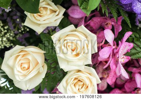the seed-bearing part of a plant, consisting of reproductive organs (stamens and carpels) that are typically surrounded by a brightly colored corolla (petals) and a green calyx (sepals)