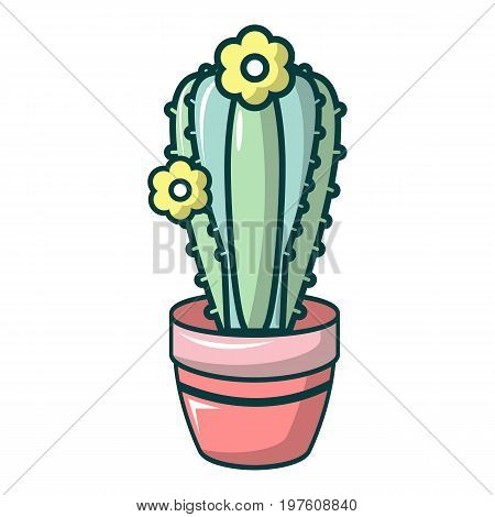 Notocactus icon. Cartoon illustration of notocactus vector icon for web design
