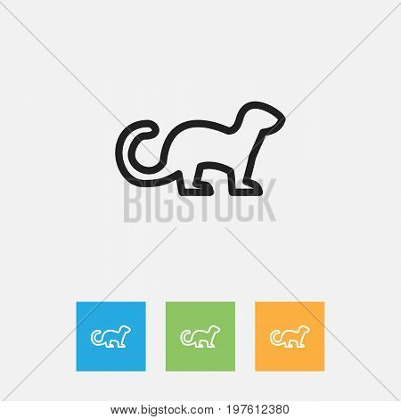 Vector Illustration Of Zoology Symbol On Ferret Outline