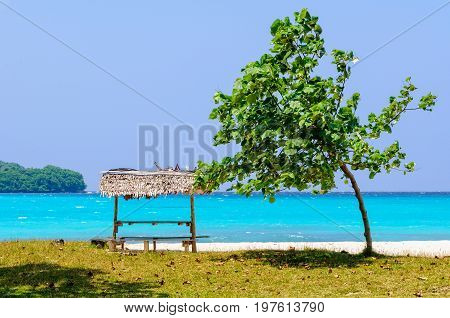 A tree and a table with bench under a leaf beach bungalow at Olry Bay - Espiritu Santo, Vanuatu