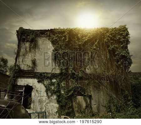 scary scenery haunted image