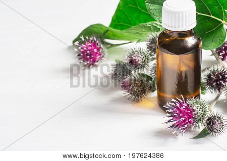 Agrimony burdock Essential oil In small bottle. Flowers spikes and leaves.