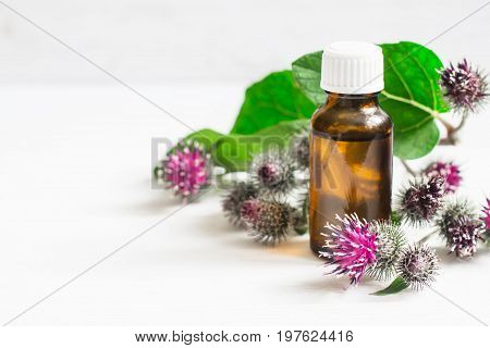 Agrimony burdock Essential oil In small bottle. Flowers spikes and leaves.