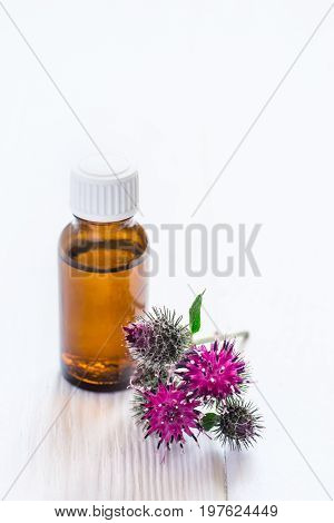 Agrimony burdock Essential oil In small bottle. Flowers spikes and leaves.