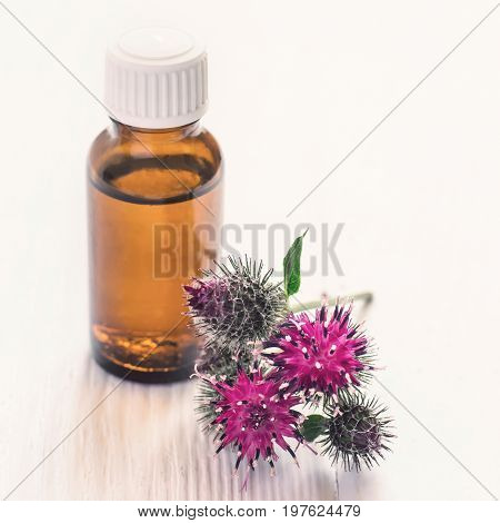 Spines flowers burdock and Essential oil In small bottle.