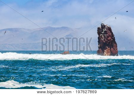 Islands balestas, South America, Peru